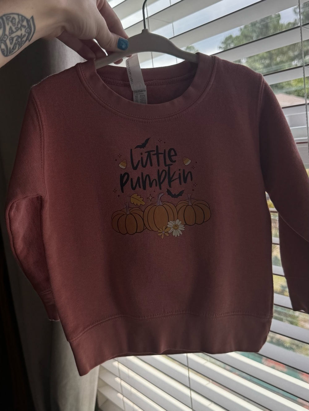 Rabbit Skins Dusty Rose 'Little Pumpkin' Kids Sweatshirt